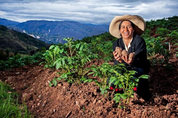 sector agrario