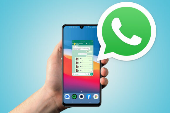 whats app