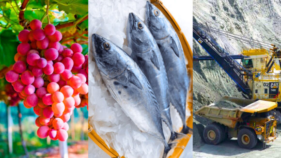 exportaciones no tradicionales del Perú
