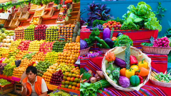 frutas y verduras midagri