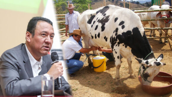 Productor de leche