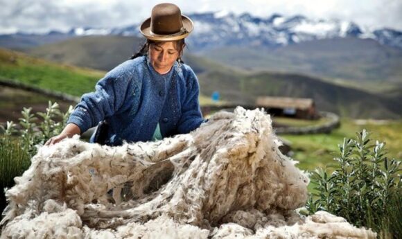 fibra de alpaca