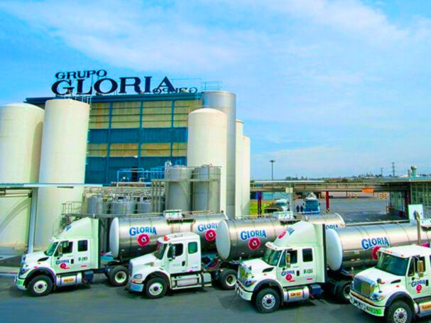 grupo gloria saputo argentina