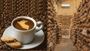 exportaciones de café 2024