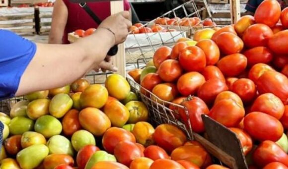 Tomate