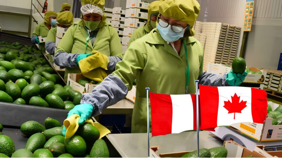 exportación perú canadá