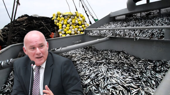 eduardo ferreyros pesca