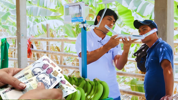 produce concursos