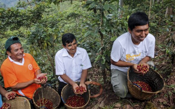 productores de café