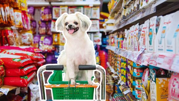 Mercado de mascotas
