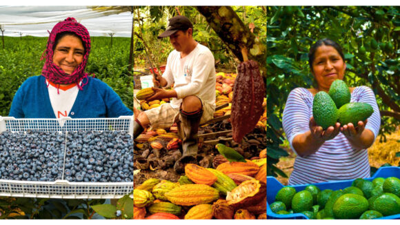 agroexportaciones peruanas incremento