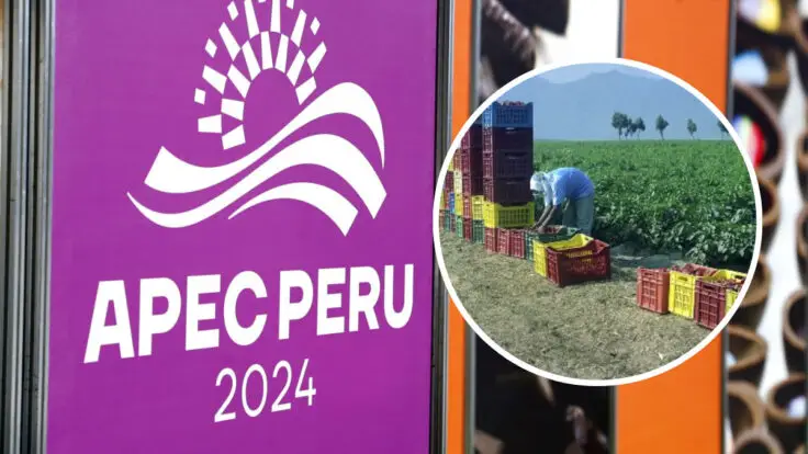 APEC 2024