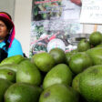 precios de la palta