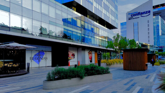 paseo begonias nuevas marcas