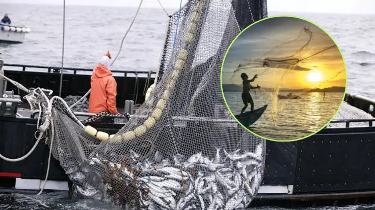 Cambio climatico reduciría biomasa marina