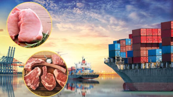 Exportaciones a China 2024