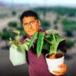 el chico salva plantas