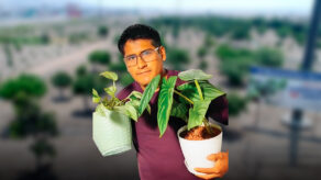 el chico salva plantas