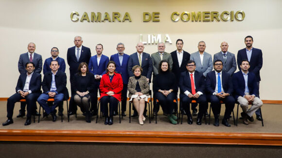 inseguridad y crimen organizado