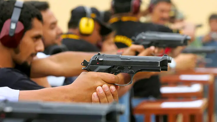 importación de armas de uso civil crecimiento