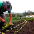 productos para proteger cultivos crecerá