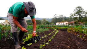 productos para proteger cultivos crecerá