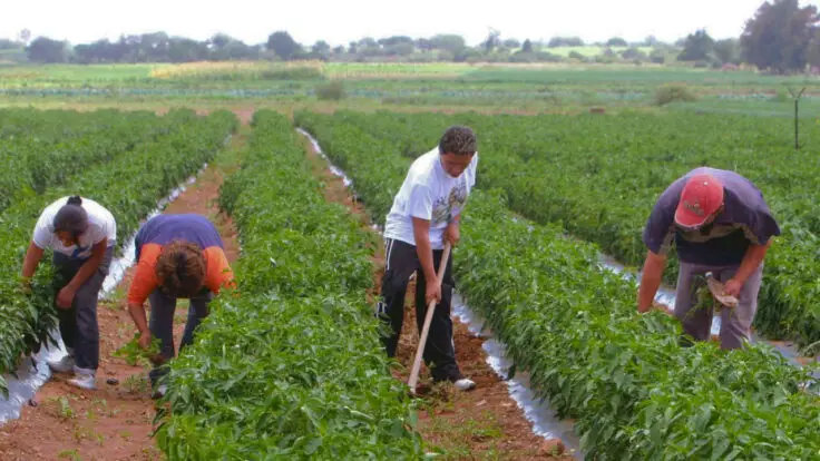 BID préstamo sector agrario