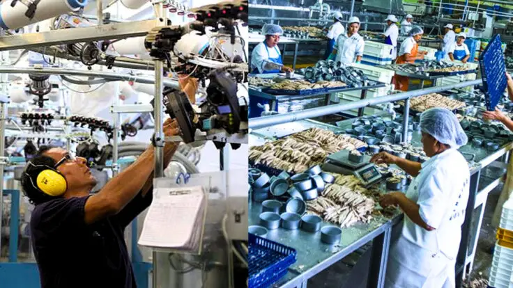 sector manufacturero creció empleo formal