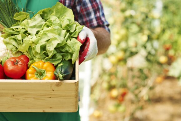 Inversiones en agroindustria alcanzarán US$24,000 millones en 2025.