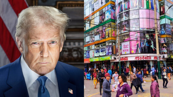 trump gamarra polvos azules
