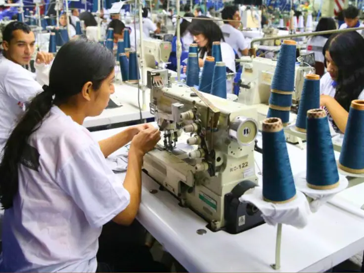 exportaciones textiles 2025