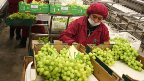 agroexportaciones peruanas 2025