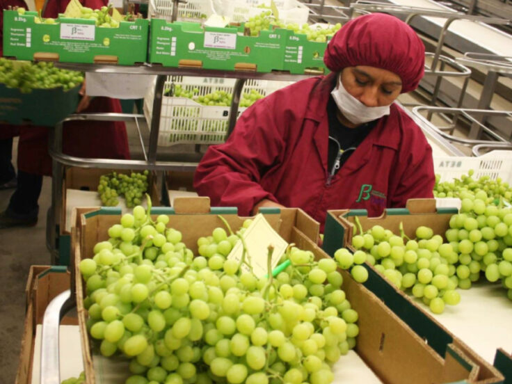 agroexportaciones peruanas 2025