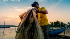 Sector pesca impulsa crecimiento de la economía peruana con un aumento cerca del 30% en marzo 2025