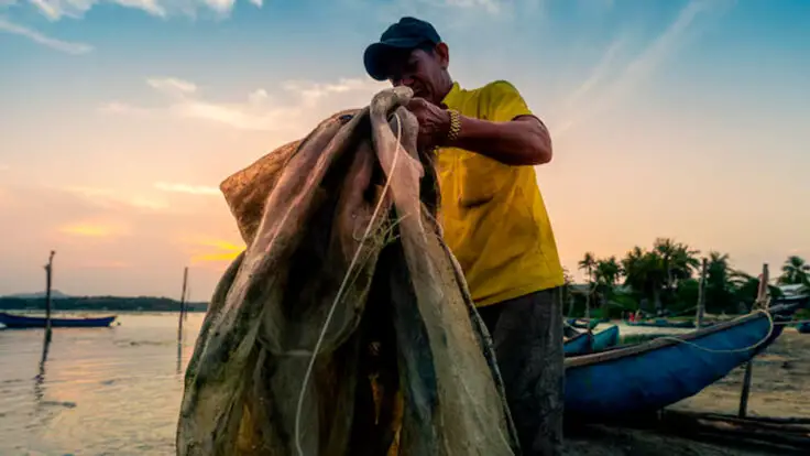 Sector pesca impulsa crecimiento de la economía peruana con un aumento cerca del 30% en marzo 2025