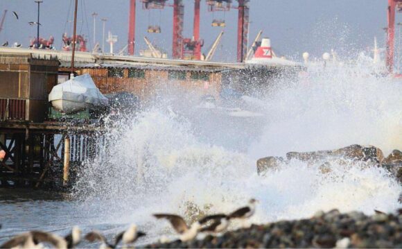 Tsunami