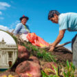 nueva ley agraria