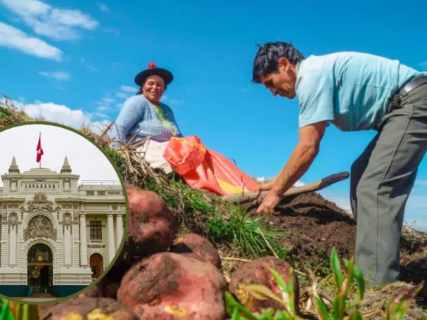nueva ley agraria