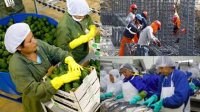Agro, pesca y construcción