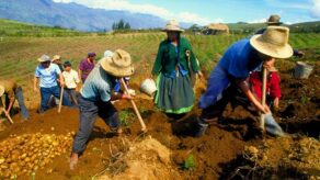 Agricultura