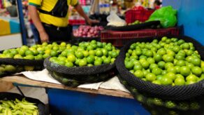 limón