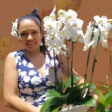 Historia de Orquiflor Lima