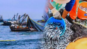Pesca de anchoveta impulsó el crecimiento.