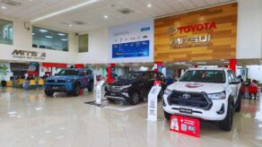 SUV y pick up