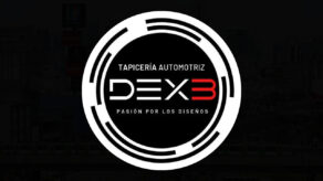 Tapicería automotriz dex3