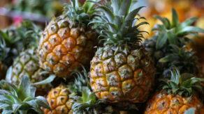 exportaciones piña peruana deshidratada