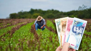 Bono Beta habría costado más de S/5,000 millones al agro en cuatro años.