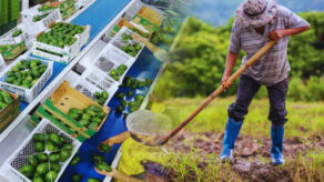 Empresas agroexportadoras pagarán 15 % de IR con la nueva Ley Agraria.