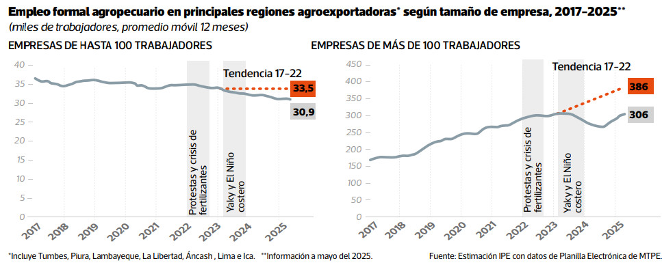 Gráfico de empresas elaborado por el IPE.
