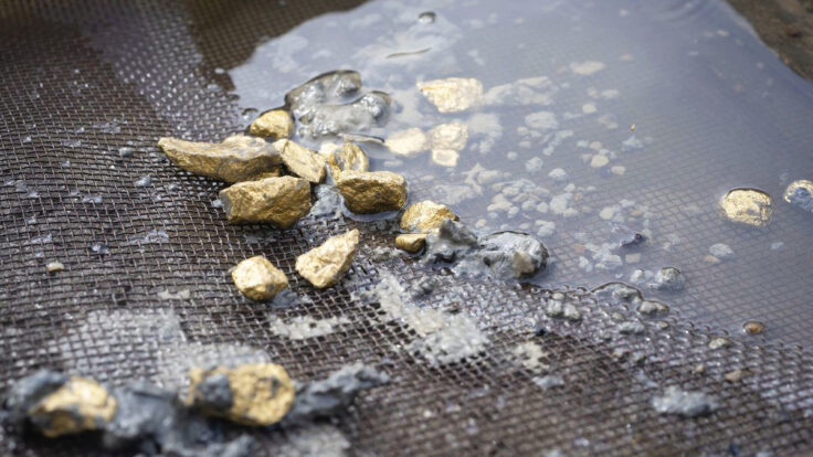 minería ilegal oro enfermedad holandesa